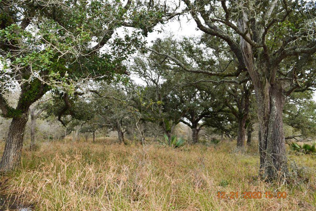 0 Fm 3156 Ashwood Road - Photo 1