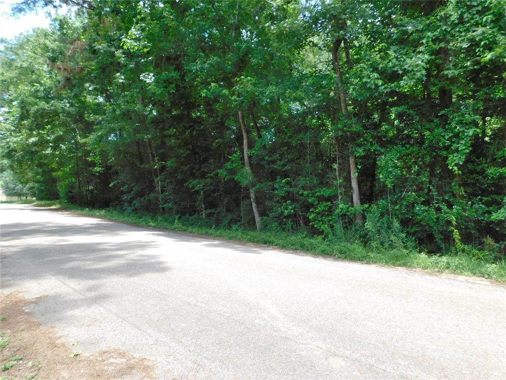 TBD Royal Forest Drive - Photo 1