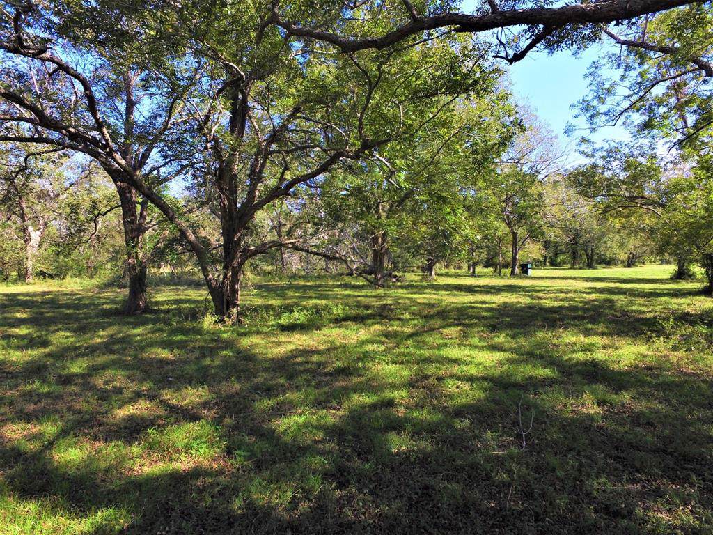 3832 Fm 1301 Road - Photo 1