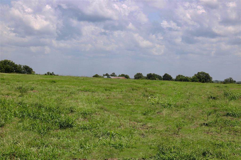 Lot 12 Reagans Way - Photo 1