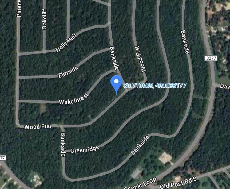 Lots 448, 449 & 450 Wood Forest - Photo 1