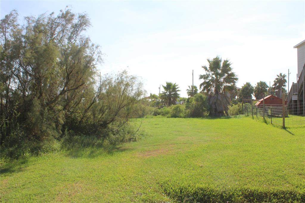 1017 Dolphin Road - Photo 1