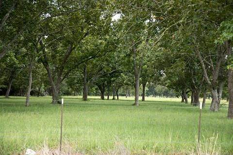 4132 Fm 1127 Road - Photo 1