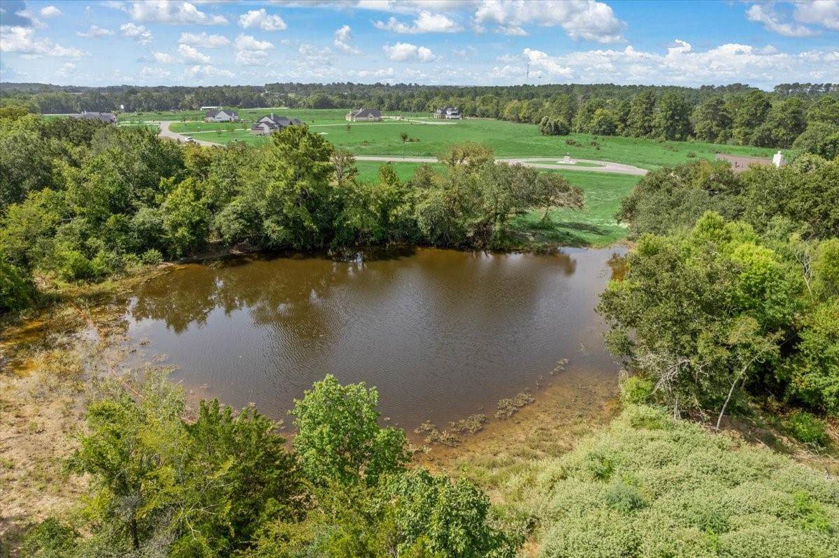 9557 Cedar Creek Lane - Photo 1