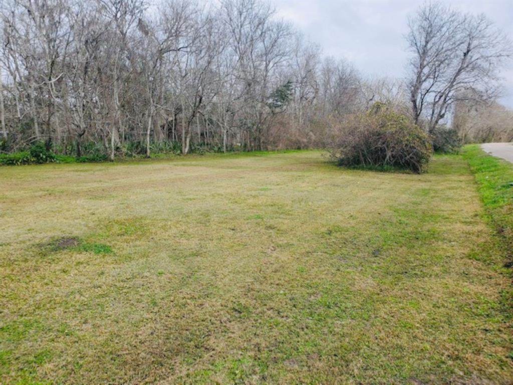 0 Cammelia County Rd 510E - Photo 1