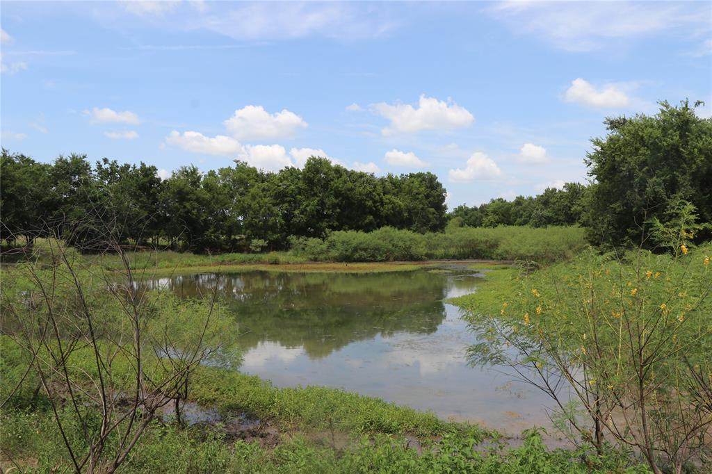10954 Stefka Road - Photo 1