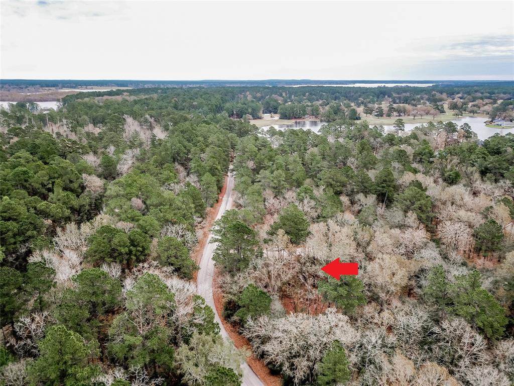 56 Greenway Drive - Photo 1