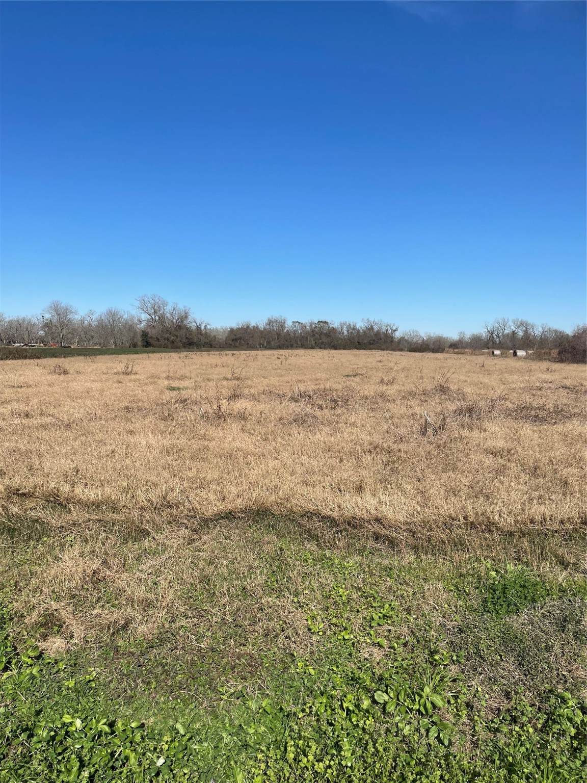 000 County Road 224 - Photo 1