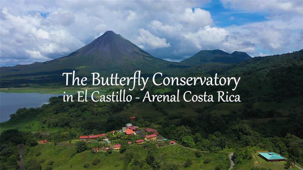 0 El Castillo De Los Insectos - Photo 1