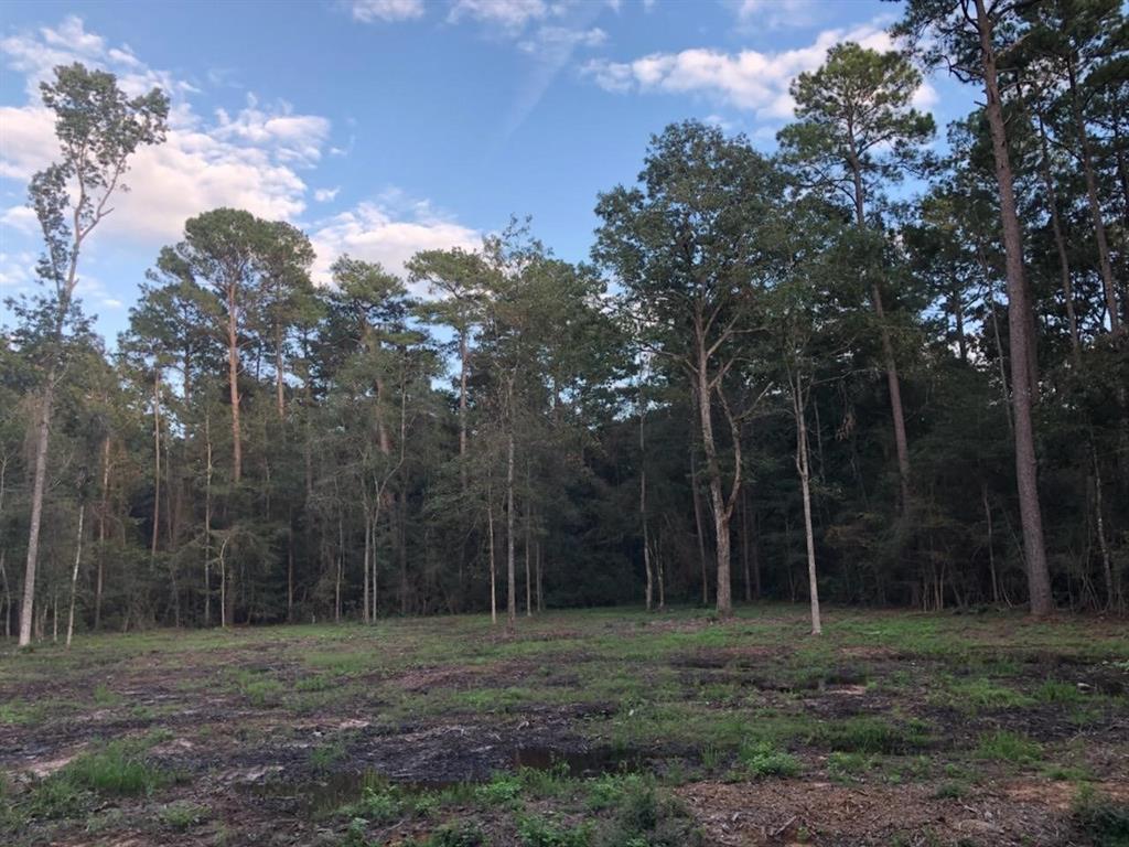 826 Forest View - Photo 1