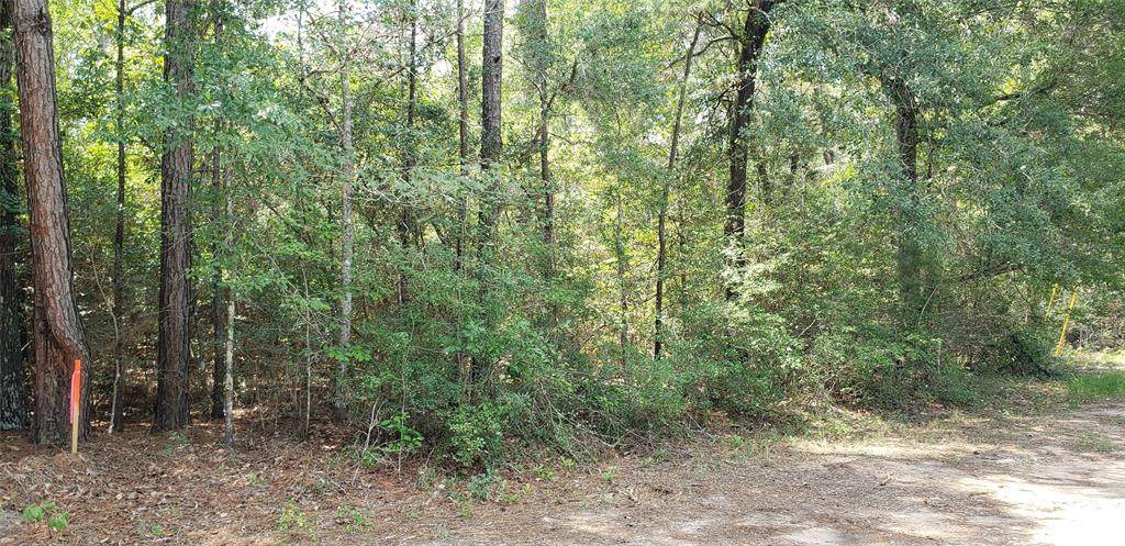 00 Woodway Dr - Photo 1