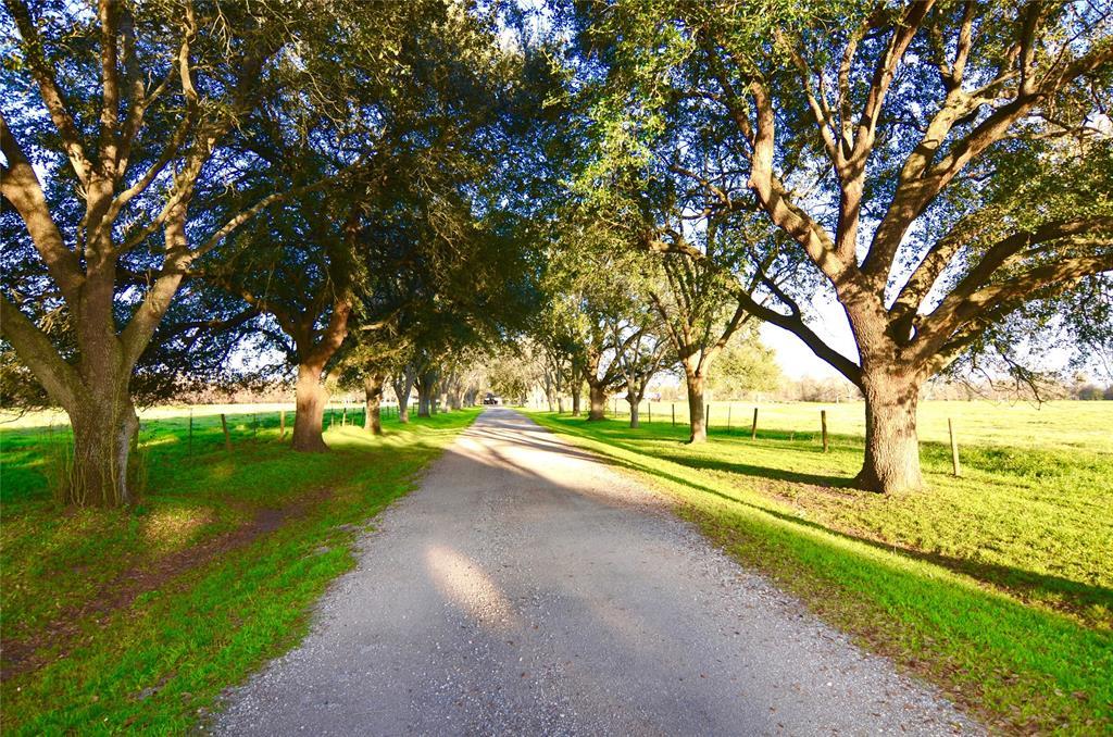 1202 Fm 359 Road - Photo 1