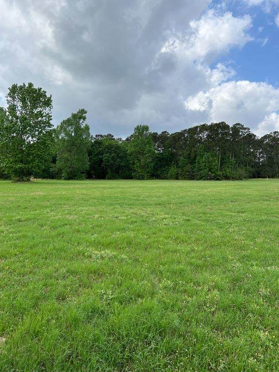10435 (Tract 2) Superior Lane - Photo 1