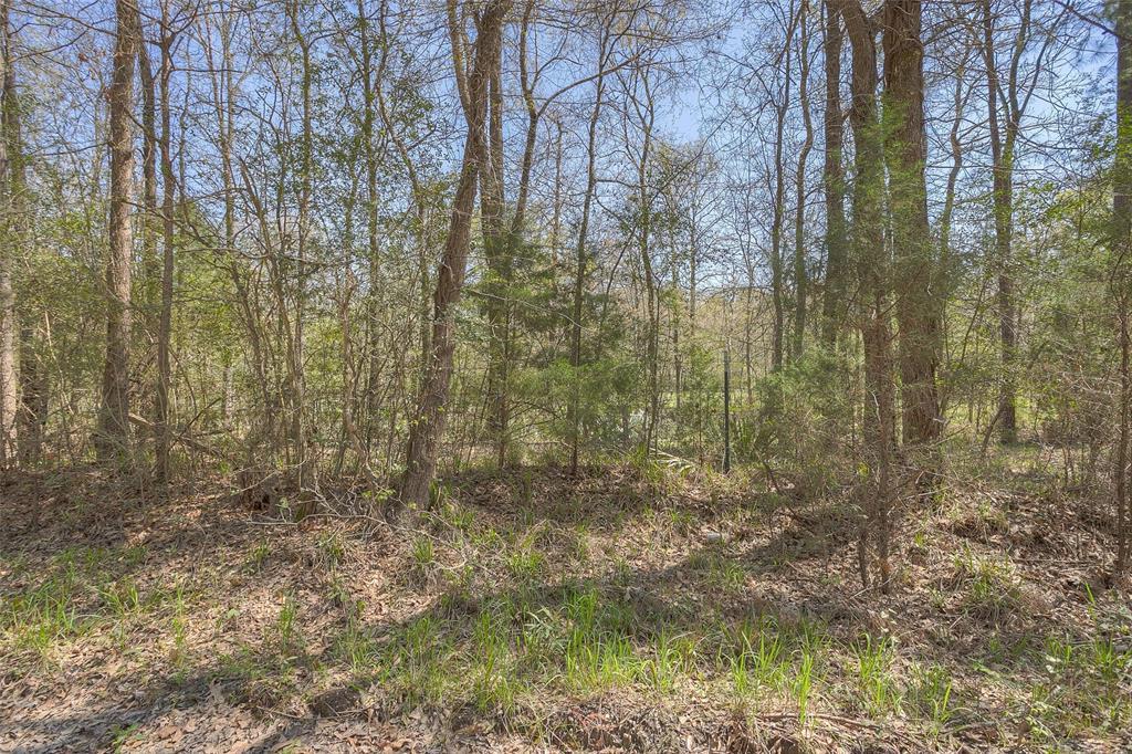 TBD County Rd 4200 - Photo 1