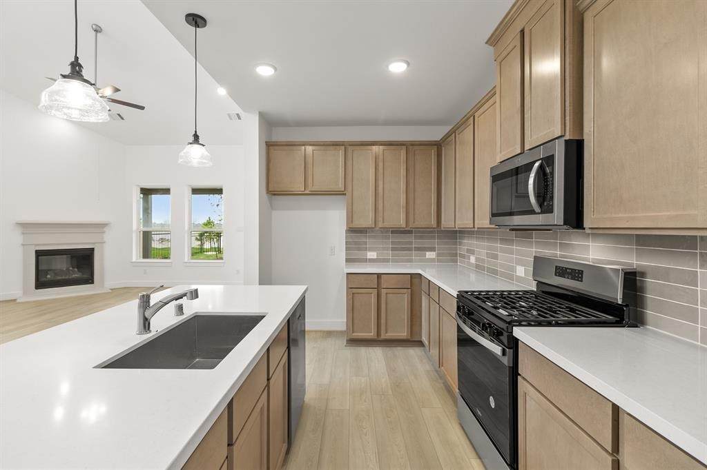 8239 Red Shiner Way - Photo 1