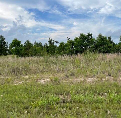 308 County Road 5118 - Photo 1