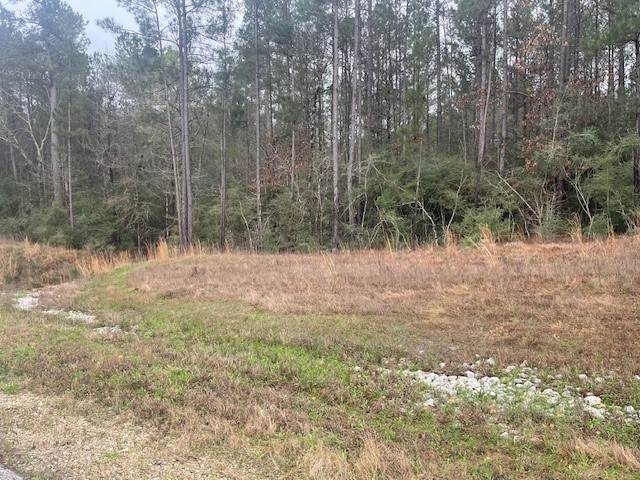 155 Copperleaf Road - Photo 1