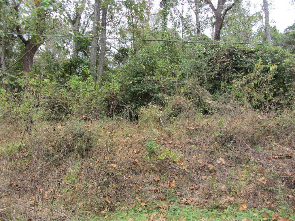 TBD Holly Street - Photo 1