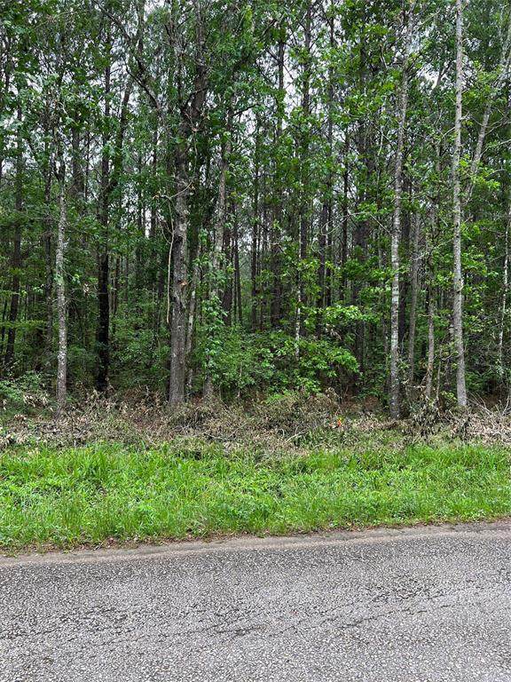 000 Pelican Road - Photo 1