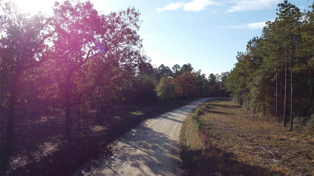 56 Lost Indian Camp Road - Photo 1