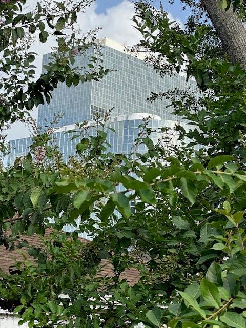 3400 Timmons Lane - Photo 1