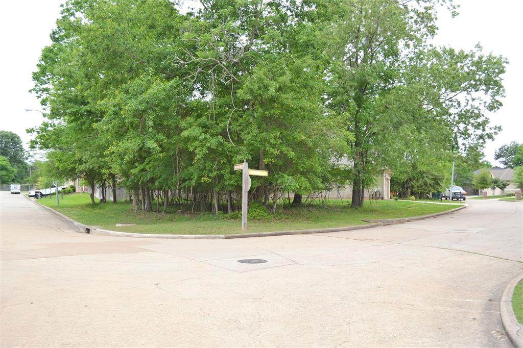 11623 Redbird Lane - Photo 1