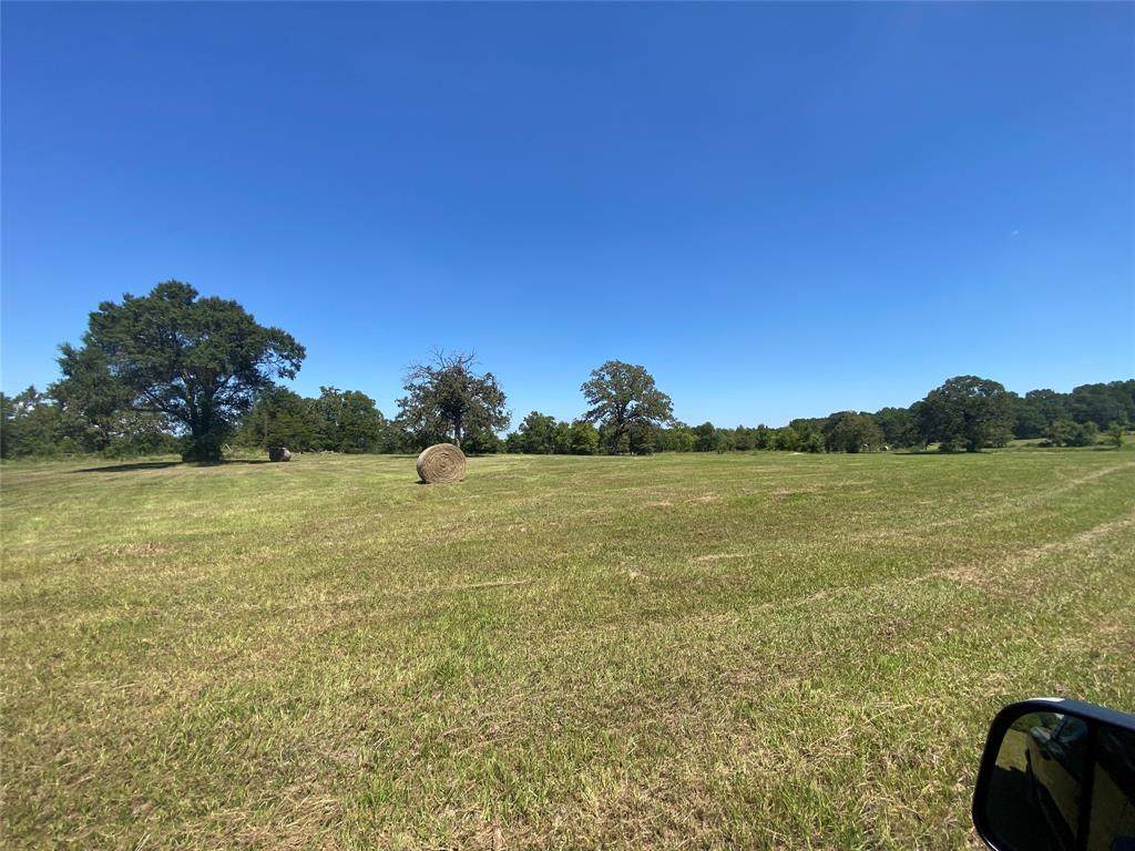 226 Roy Webb Road Road - Photo 1