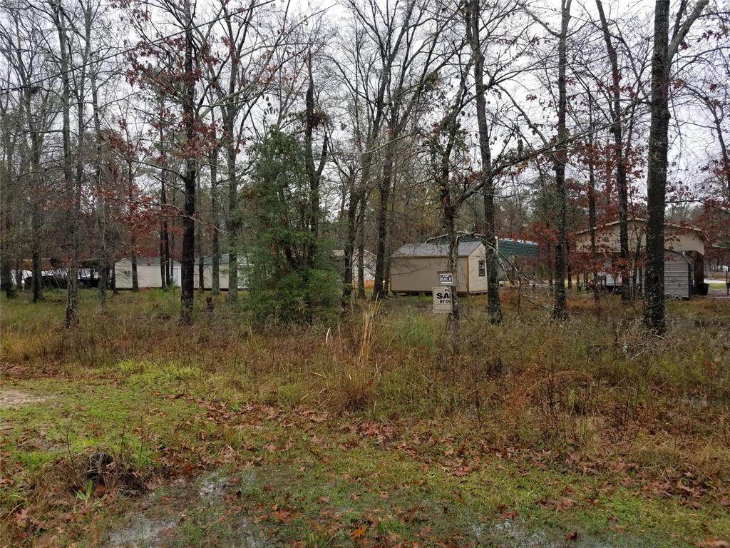 00 Belize Drive - Photo 1