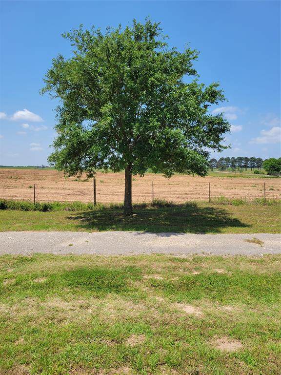 36677 TRACT 2B Brumlow Road - Photo 1