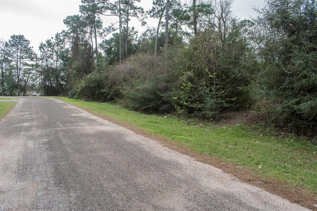 24122 Butterfly Lane - Photo 1