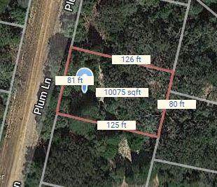 Lot 7 Plum Lane - Photo 1