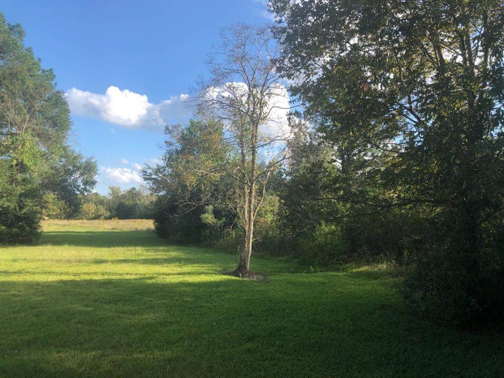 17965 Highway 75 - Photo 1