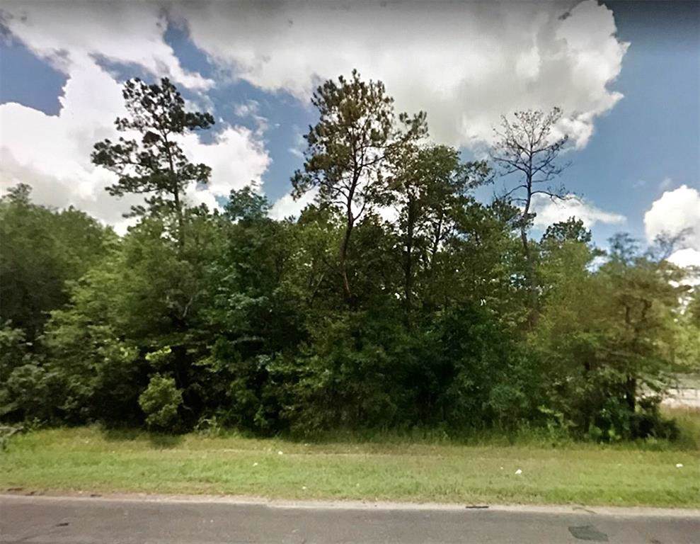 0000 Hwy 87 Lot F - Photo 1