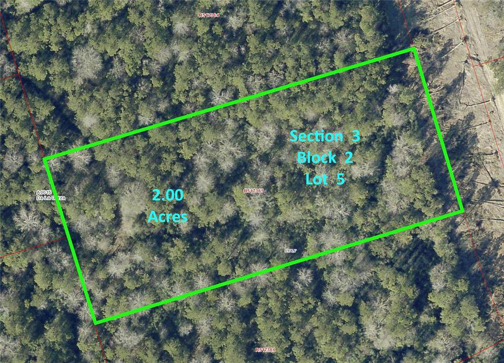 10742 Ruger Road - Photo 1