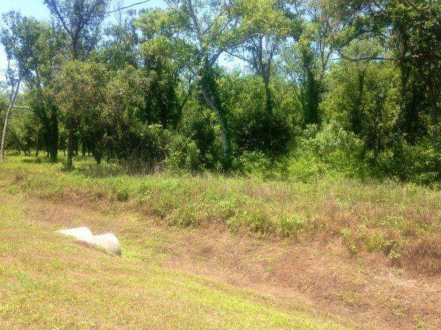 33418 Blue Marlin Drive - Photo 1
