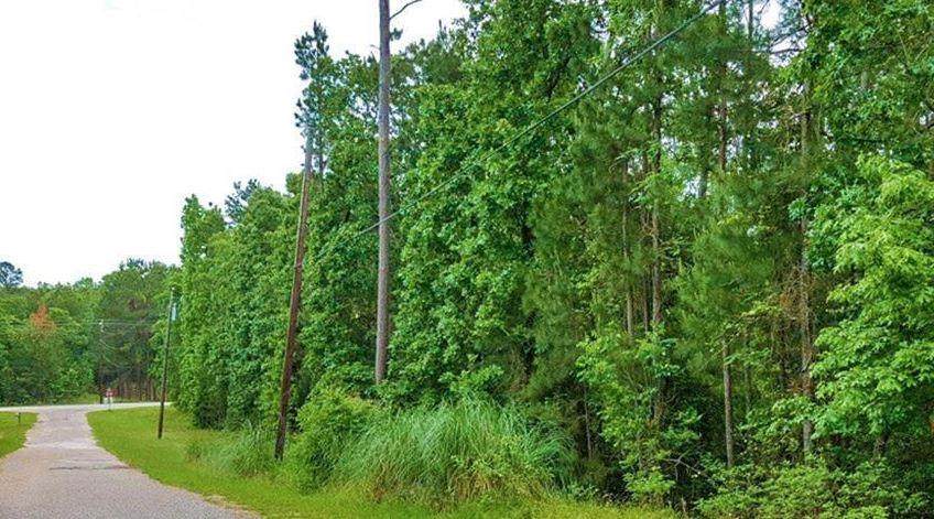 0 Arrow Head Lane - Photo 1
