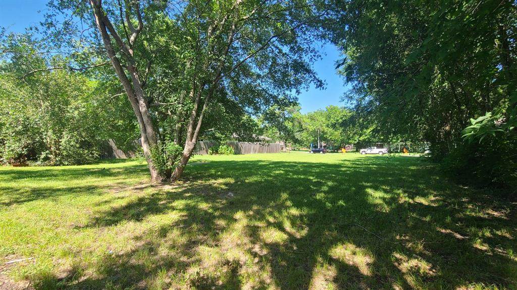 11022 Waxwing Street - Photo 1