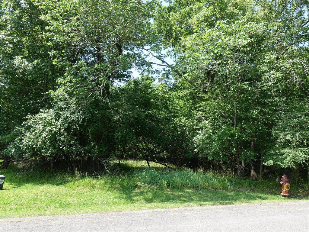 0 Piping Rock Place - Photo 1