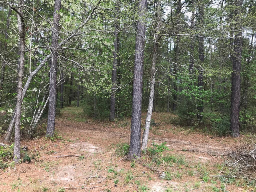 TBD Mathis Dairy Road - Photo 1
