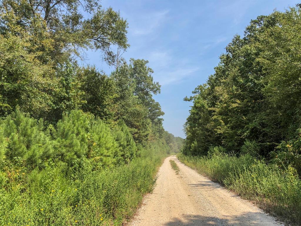 174 Ac Off Spring Ridge Road - Photo 1