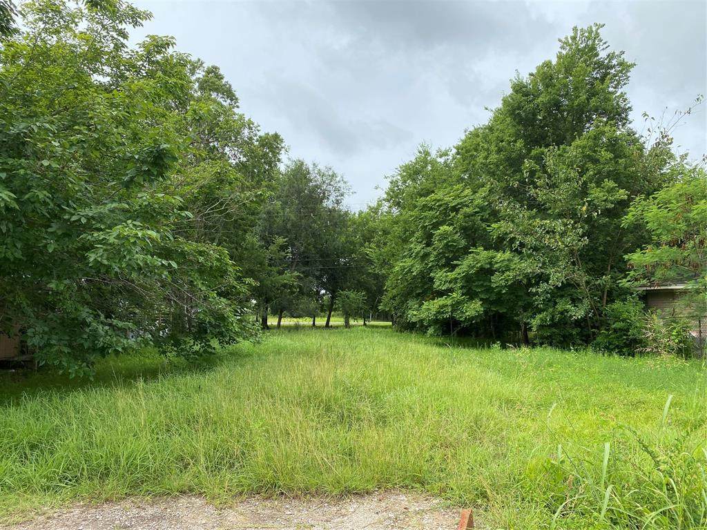 3630 Jipsie Lane - Photo 1