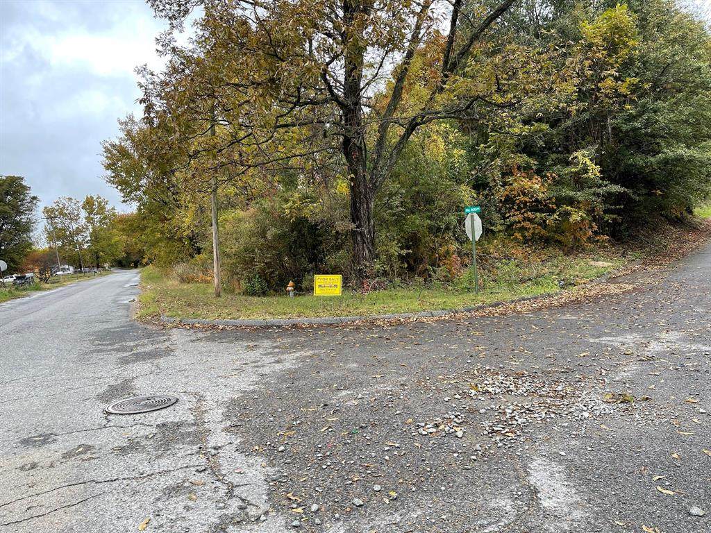 0 Phillips Road 300 - Photo 1