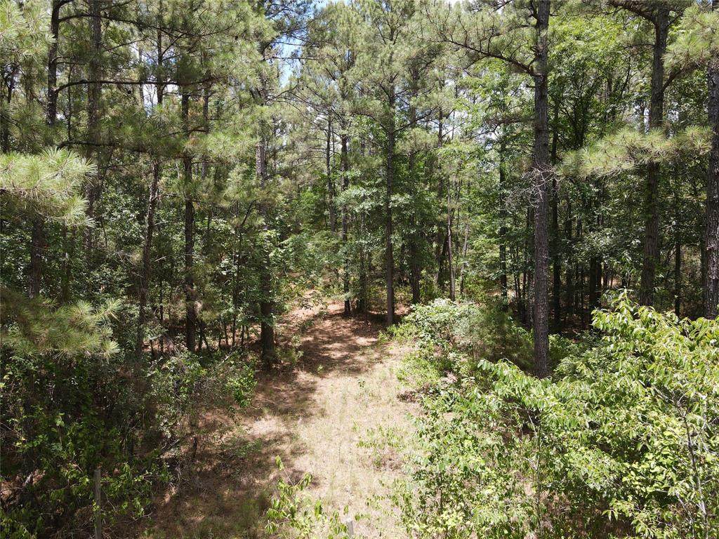 11354 County Road 351 - Photo 1