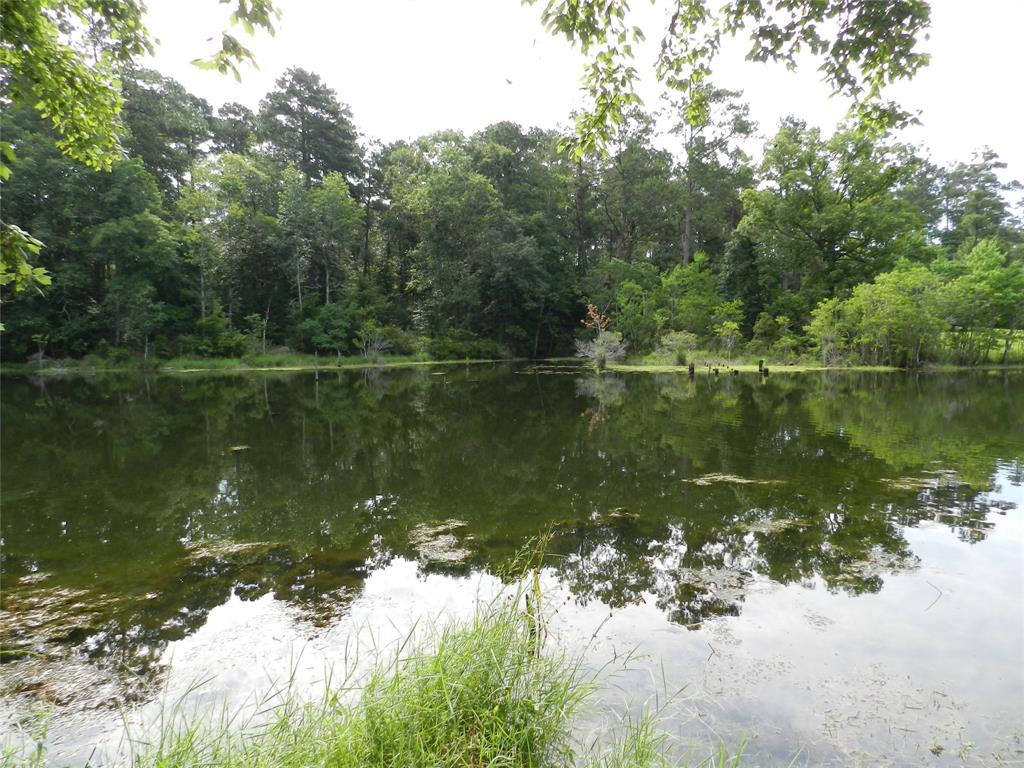 34933 Hidden Cove - Photo 1