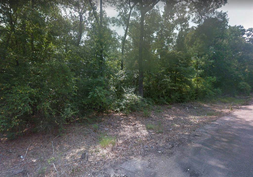00000 Hickory Ln - Photo 1