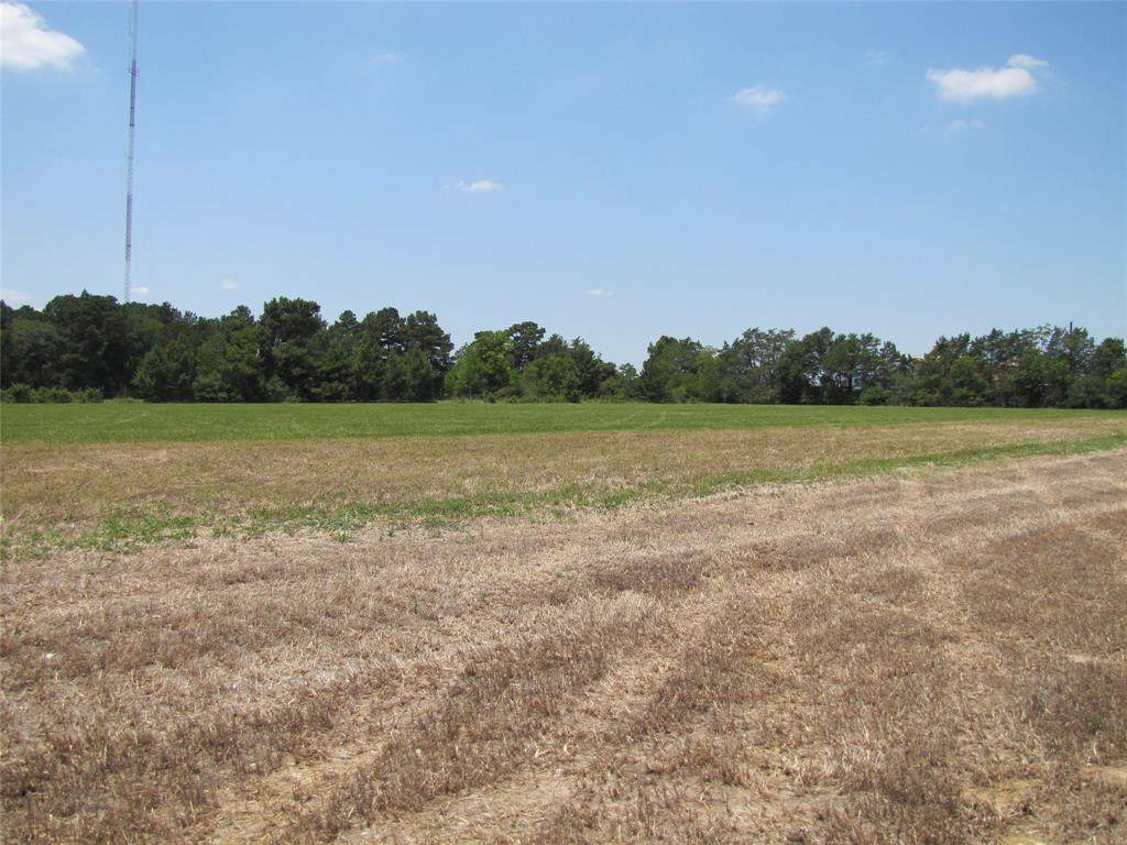 21303 Rosehill Church Road - Photo 1