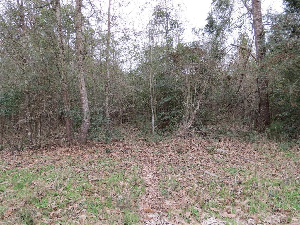 TBD Southwood Forest Drive - Photo 1