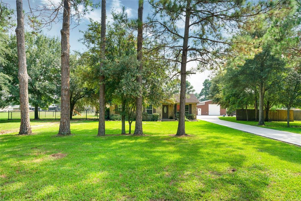 29103 Quail Street - Photo 1