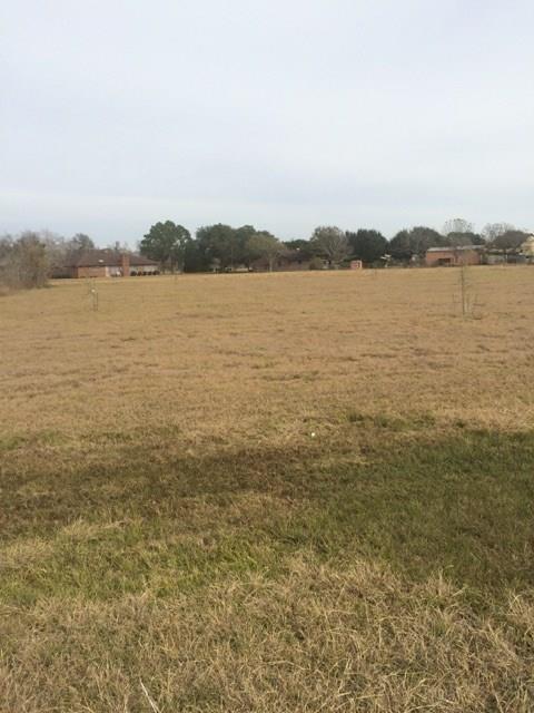 3093 Fm 302 Highway - Photo 1