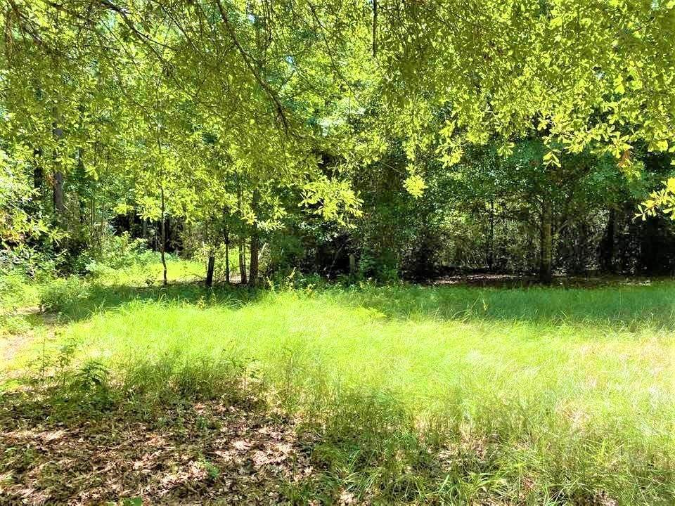 866 Private Road 6221 - Photo 1